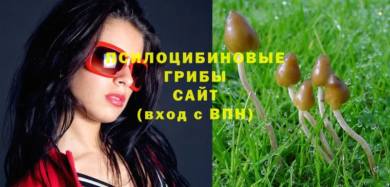 Галлюциногенные грибы MAGIC MUSHROOMS  Ленинск 